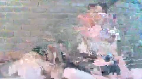 Mr And Mrs Cumalot online show from 14, 9, 2025