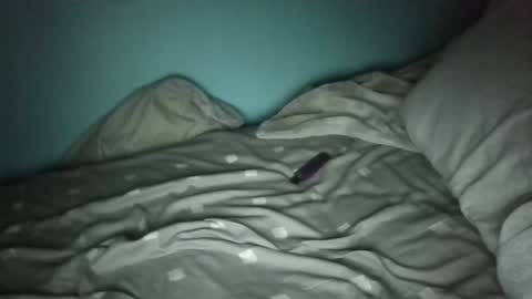 mrbig47xo online show from 9, 2, 2026