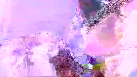 Snapshot of mrboombastic6969 chatting on 5, 6, 2026 Mr boom online show from 5, 6, 2026