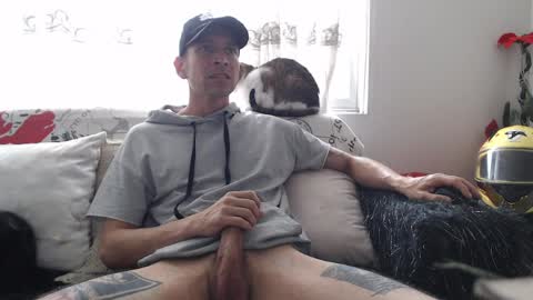 Snapshot of mrcock_col chatting on 8, 4, 2026 mrcock_col online show from 8, 4, 2026