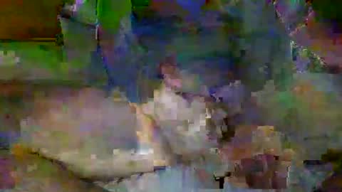 Mr-E online show from 6, 4, 2026