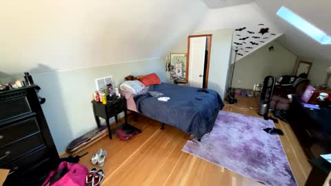 mrfanceypants online show from 23, 9, 2025