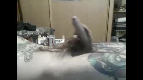 Snapshot of mrfumao chatting on 8, 6, 2026 mrfumao online show from 8, 6, 2026