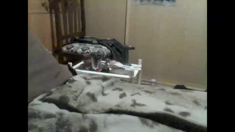 Snapshot of mrfumao chatting on 9, 6, 2026 mrfumao online show from 9, 6, 2026