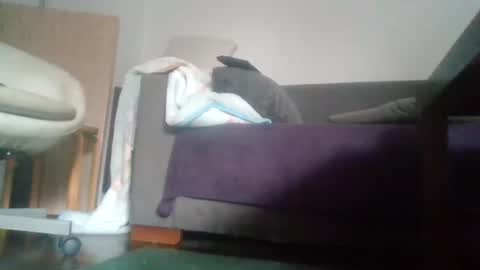 Nikola online show from 18, 10, 2025