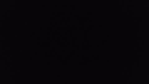 mrj1979 online show from 6, 12, 2024