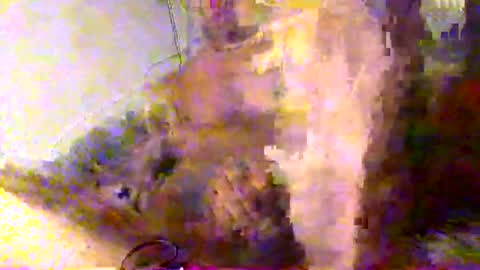 mrkoterz online show from 18, 4, 2026