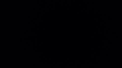 mrnofaceinyourhouse online show from 12, 11, 2025