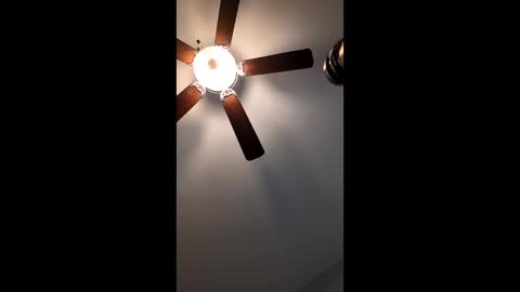 mrorange50187 online show from 12, 1, 2025