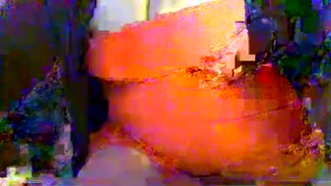 Snapshot of mrvenusx chatting on 25, 7, 2026 Mrs Venus online show from 25, 7, 2026