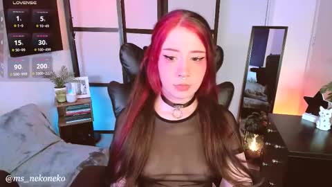      schedule monday tuesday wednesday thursday - sunday  online show from 23, 11, 2025