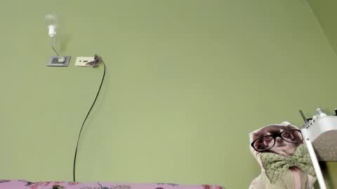 MsPurrfectLove online show from 2, 2, 2025