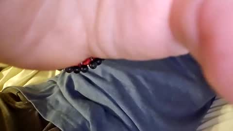 Snapshot of mtnclimber1 chatting on 19, 11, 2025 mtnclimber1 online show from 19, 11, 2025