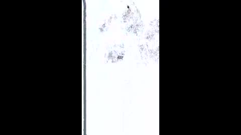 mudjimba online show from 26, 2, 2026