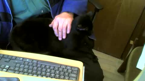 muller520 online show from 4, 2, 2025