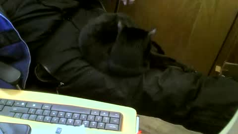 muller520 online show from 12, 2, 2025