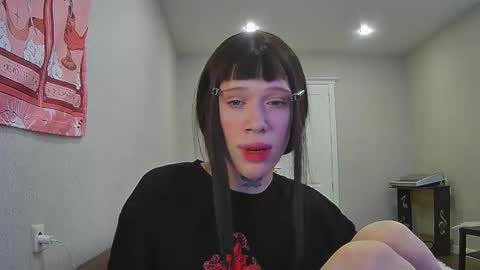 Polik online show from 12, 1, 2026