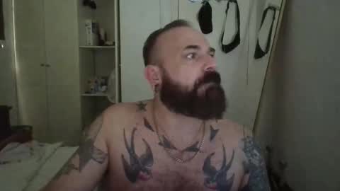 Snapshot of musclebearffbcn chatting on 11, 10, 2025 NipplePlayDad online show from 11, 10, 2025