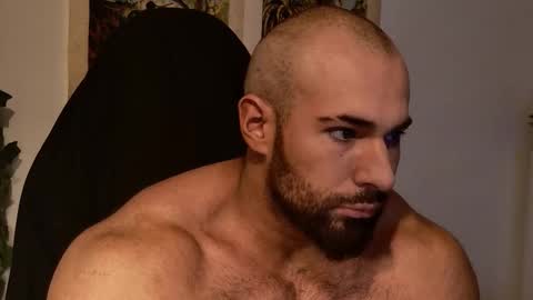 Musculus online show from 8, 10, 2025