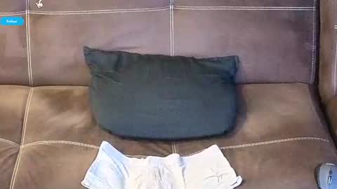 mushroomcouch online show from 15, 6, 2026