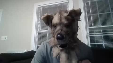 my_banana_creampies online show from 17, 2, 2026