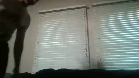 vienna online show from 16, 11, 2025