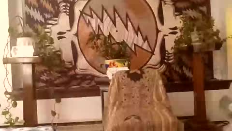 Gypsy online show from 3, 12, 2025