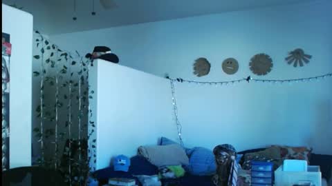 LA MARIPOSA DE MARICOPA online show from 2, 3, 2025