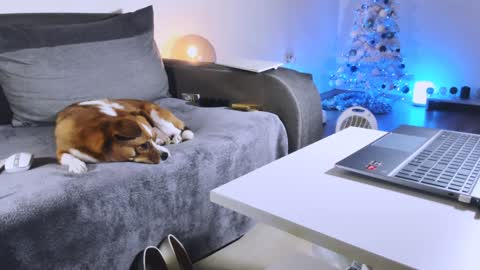 Anda online show from 27, 12, 2024