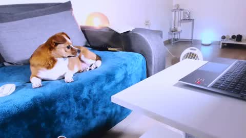 Anda online show from 7, 3, 2025