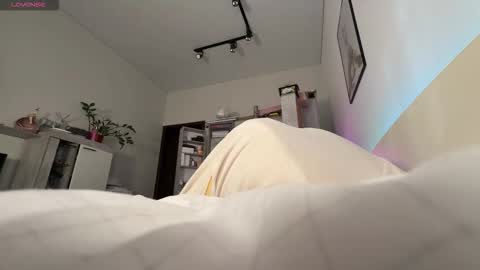 Phoenix online show from 9, 10, 2025