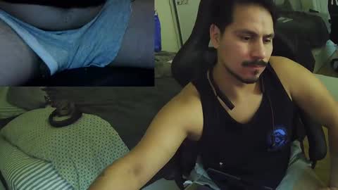 N0ttheFace online show from 18, 11, 2025