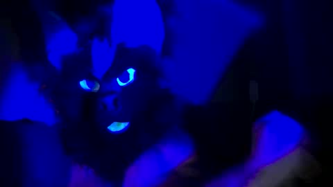 Snapshot of n33ds2br33d chatting on 19, 10, 2025 n33ds2br33d online show from 19, 10, 2025