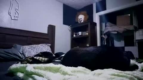 nackjamesontag69 online show from 7, 2, 2026