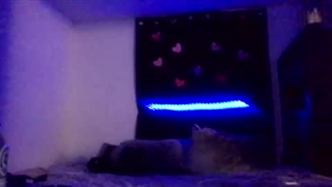 Missbellaaaxox online show from 15, 2, 2026