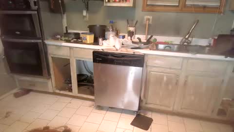 nakednate1780 online show from 6, 12, 2024