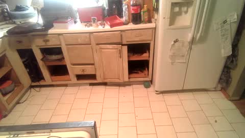 nakednate1780 online show from 25, 12, 2024