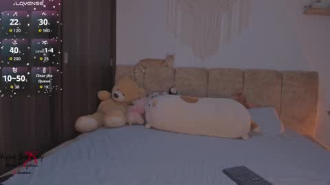 N A M I    -   OF  namibergmant online show from 21, 12, 2025