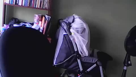 Snapshot of nana_666_ chatting on 17, 11, 2025 nana_666_ online show from 17, 11, 2025