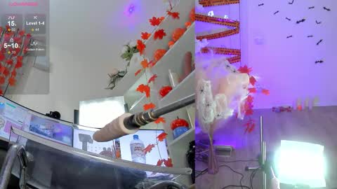 INSTAGRAM     bekkercat  online show from 2, 11, 2025