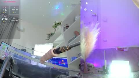 INSTAGRAM     bekkercat  online show from 17, 11, 2025