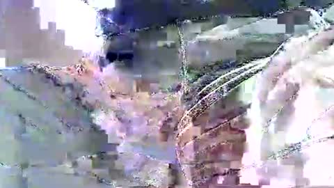 Nane online show from 19, 11, 2025