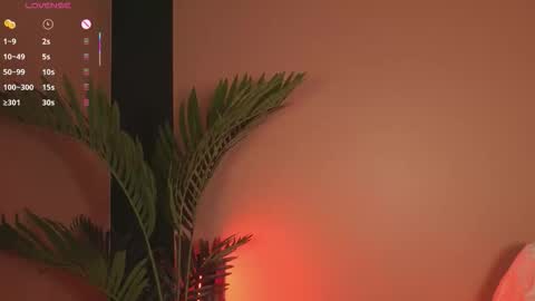 nanis_dash online show from 20, 12, 2025