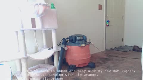 Nanna Baldur online show from 16, 12, 2025