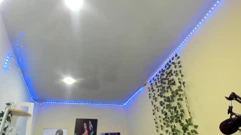 naomy online show from 13, 12, 2024