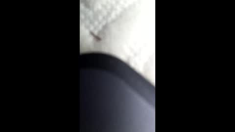 nastysubs69 online show from 12, 1, 2025