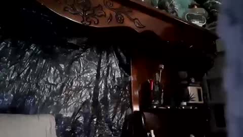 nastysubs69 online show from 21, 4, 2026