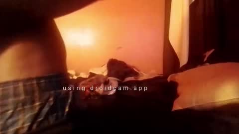 nathanbutler0 online show from 31, 10, 2025