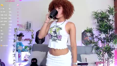 natty online show from 12, 12, 2024