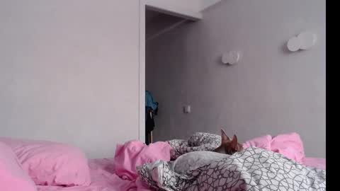 Chris Carrie online show from 4, 2, 2025